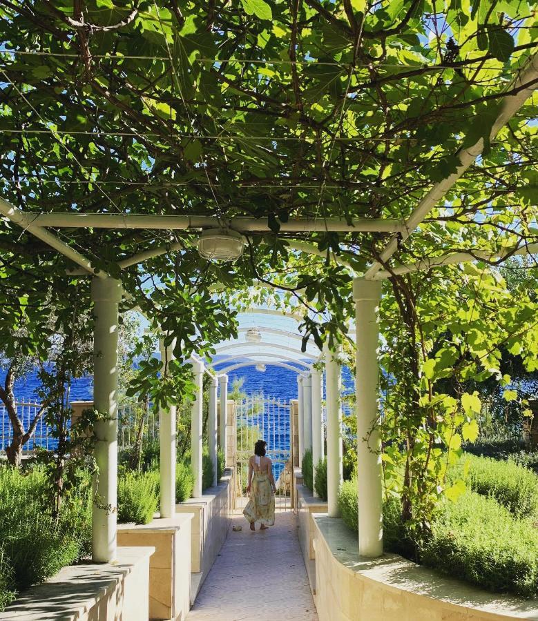 Luxury Seaside Villa With A Classic Mediterranean Olive Garden, A Fully Equipped Professional Kitchen, Pool, Sauna, Padle Boards And Canoe - Miolin Beach House Trogir Buitenkant foto